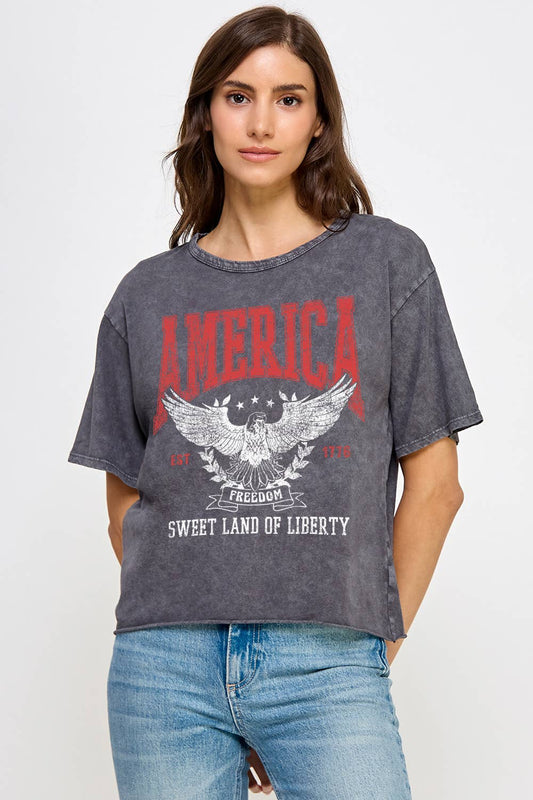 America Sweet Land Of Liberty Mineral Washed T-Shirt: VINTAGE CHARCOAL